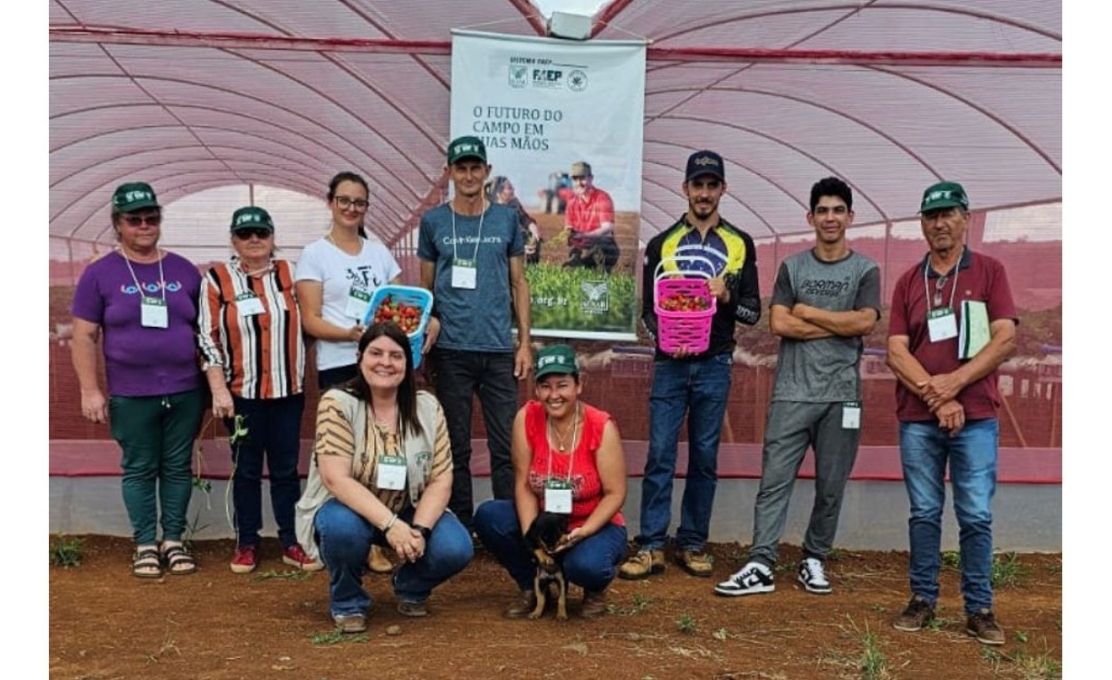 CURSO DE MORANGO: UMA NOVA OPÇÃO DE RENDA PARA AGRICULTORES DE RESERVA DO IGUAÇU 