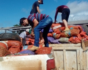 com-auxilio-do-programa-viver-no-campo-produtores-rurais-entregam-safra-de-pepino-e-trazem-renda-para-o-comercio-local-ii.jpg