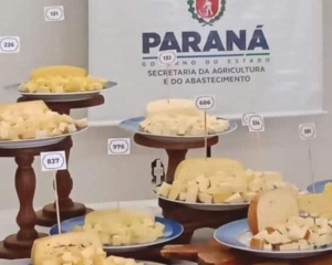 curso-de-queijo-artesanal-organizado-pelo-idr-parana-terminou-na-ultima-sexta-feira-i.jpg