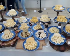 curso-de-queijo-artesanal-organizado-pelo-idr-parana-terminou-na-ultima-sexta-feira-iii.jpg
