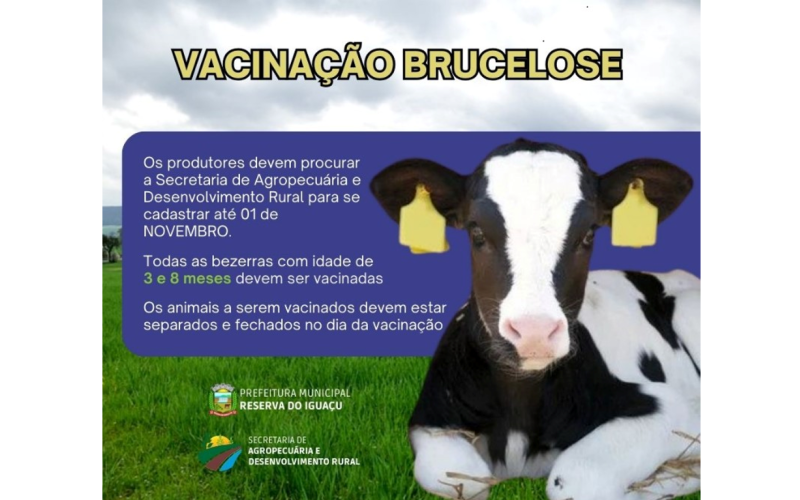 CAMPANHA DE VACINAÇÃO BRUCELOSE